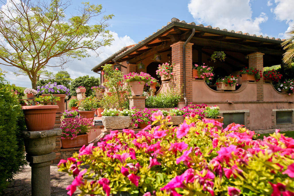 Agriturismo Da Lorena Marsiliana Exterior photo